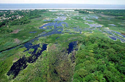 Wetlands on Cape May, New Jersey, USA. Image credit: Anthony Bley, U.S. Army Corps of Engineers