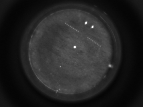 When deployed the ESP transmits images like this one, sent during testing in 2012.  The row of dots indicates that the probe has detected Alexandrium in the water sample. (The three bright dots are used to align the image for quality control.) The information obtained from these tests, along with other local environmental conditions, is transmitted to shore using wireless communications making the data immediately available. (Image courtesy of Don Anderson Lab, Woods Hole Oceanographic Institution)
