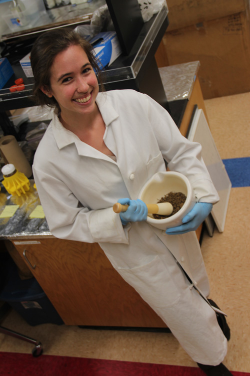 Amy Stuyvesant works with soil samples to learn how hurricane activity is impacting the forests of Puerto Rico. Image credit: University of California