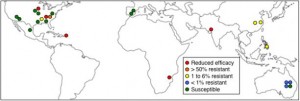 Global status of field-evolved pest resistance to Bt crops: Of the 24 cases analyzed, five showed resistance that caused reduced efficacy of Bt crops (red), five were intermediate levels of resistance (orange and yellow) and 14 showed either little or no resistance (blue and green). Image courtesy of Nature Biotechnology (Click image to enlarge)