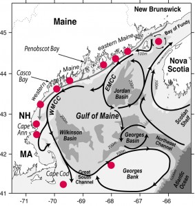 Proposed Gulf of Maine deployment sites for ESP instruments in a regional network configuration. This scenario will require more instruments than are currently in hand. Image courtesy of Don Anderson Lab, Woods Hole Oceanographic Institution (Click image to enlarge)