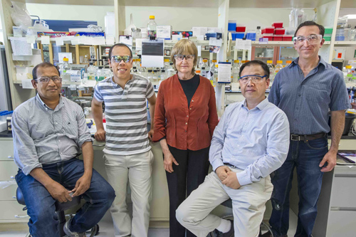 Berkeley Lab scientists (from left) Altaf Sarker, Mohamad Sleiman, Lara Gundel, Bo Hang and Hugo Destaillats worked on the thirdhand smoke study. (Photo by Roy Kaltschmidt/Berkeley Lab)