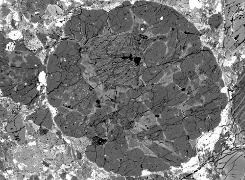 Chondrules are visible as round objects in this image of a polished thin section made from the Bishunpur meteorite from India. The dark grains are iron-poor olivine crystals. This is a backscattered electron image taken with a scanning electron microscope. Photo by Steven Simon