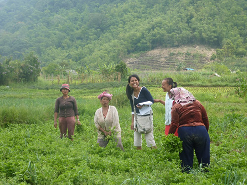 Karo Batak women working in fields. Image credit: Geoff Kushnick, UW