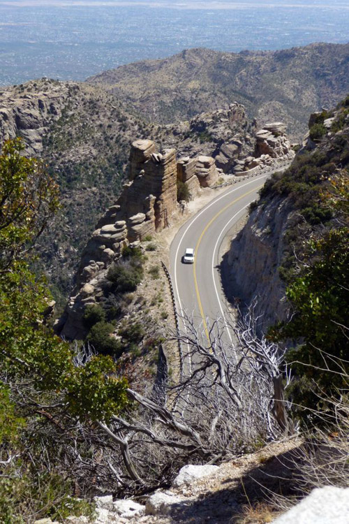 The book includes a guide for a drive up Mount Lemmon Highway, explaining the natural features at different stops. (Photo by: Richard Brusca)