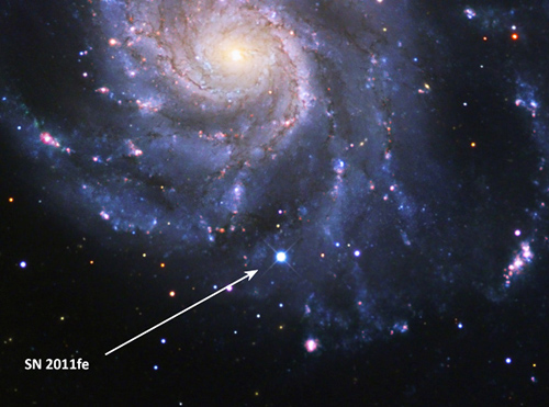 Supernova 2011fe was discovered just hours after it exploded in the Big Dipper. Studies by the Nearby Supernova Factory of its spectrum as it evolved over time have produced a benchmark atlas of data by which to measure all future Type Ia’s. (Image credit: B. J. Fulton, Las Cumbres Observatory Global Telescope Network.)
