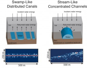 Cartoon representations (above) and radar images (below) of the distinct swamp-like and stream-like water systems observed beneath Thwaites Glacier, West Antarctica. Image credit: University of Texas Institute for Geophysics (click image to enlarge)