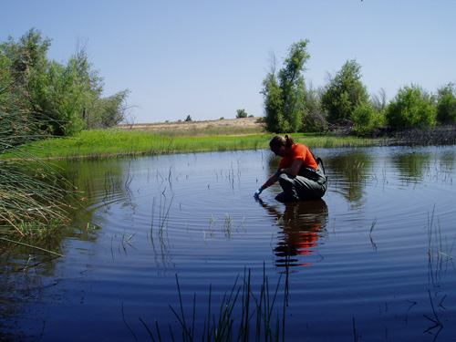 USGS scientist collecting water samples for pesticide analysis. Image credit: U.S. Geological Survey