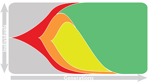 The diagram shows an evolving population of yeast, starting from a single yeast cell at the far left of the diagram in which a genetic mutation occurs (red). As the yeast cell reproduces, the mutation is passed to its descendants over several generations, as shown by the widening red area indicating the increase in the number of individuals with the red mutation. At some point another mutation (orange) occurs in one of the yeast carrying the red mutation. When the yeast cell reproduces, it passes both the red and orange mutations to its offspring. After a few more generations, another mutation occurs (yellow) in one of the red/orange-mutation yeast cells, bringing the total number of mutations that it carries to three (red, orange and yellow). The study shows that multiple (in this case, three) mutations helped the yeast adapt to its environment. In this particular population, another mutation (green) occurred (in yeast that carried the red mutation) that was far more beneficial for the yeast and the individuals with the orange and yellow mutations were forced to extinction while the cells descended from the yeast with the green mutation took over the population. This is one of 40 fully sequenced populations published in this paper that together provide detailed picture of how organisms adapt to their environments. (Image courtesy of Gregory Lang)