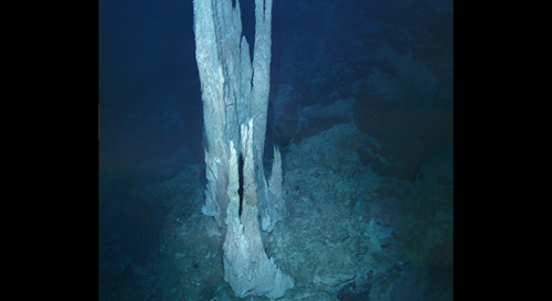 This image from the floor of the Atlantic Ocean shows a collection of limestone towers known as the "Lost City." Alkaline hydrothermal vents of this type are suggested to be the birthplace of the first living organisms on the ancient Earth. Scientists are interested in understanding early life on Earth because if we ever hope to find life on other worlds - especially icy worlds with subsurface oceans such as Jupiter's moon Europa and Saturn's Enceladus - we need to know what chemical signatures to look for. Image courtesy D. Kelley and M. Elend/University of Washington