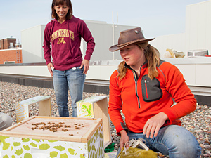 Jody Gerdts (foreground) and Becky Masterman promote bee health through training, education, and partnerships like this one with the Weisman Art Museum. ~Photos by Dave Hansen.