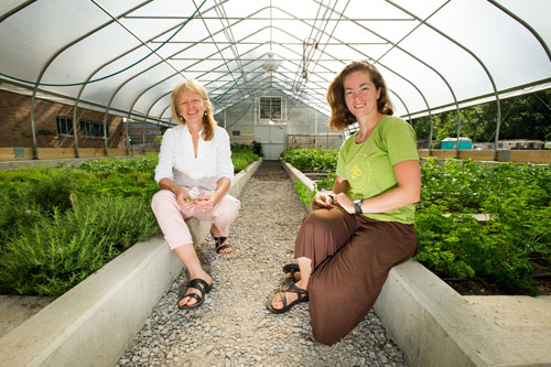 Laurie Thorp, left, director of the Residential Initiative on the Study of the Environment, and Brooke Comer, MSU graduate student, grow dozens of different plant species in the Bailey greenhouse. The products are sold to chefs across campus. Photo by Matt Hallowell 