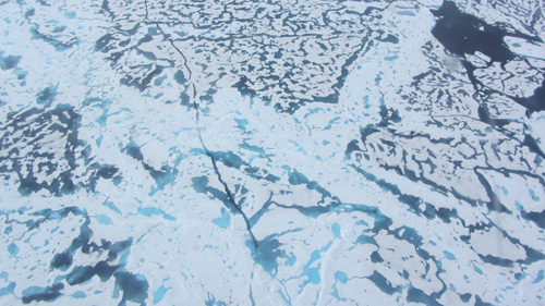 An aerial photo taken July 16 shows extensive meltwater pools off the Alaskan coast. Image credit: A. Schweiger, UW