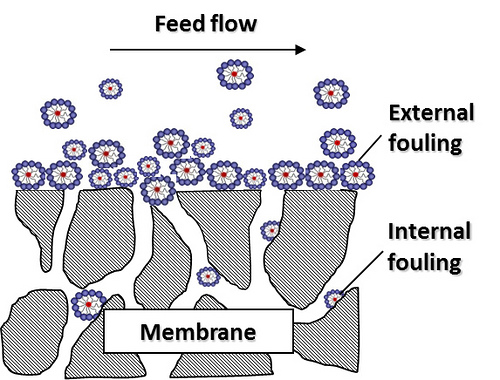 Membrane fouling diagram. Image credit: The University of Texas at Austin