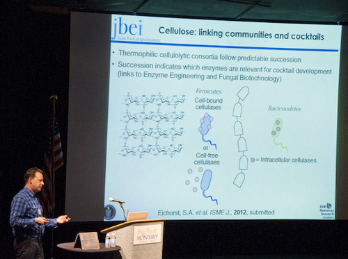 Steve Singer directs the Joint BioEnergy Insitute (JBEI)’s microbial communities program. (Photo by Roy Kaltschmidt, Berkeley Lab)