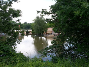 Hochwasser in Halle Saale (2013)