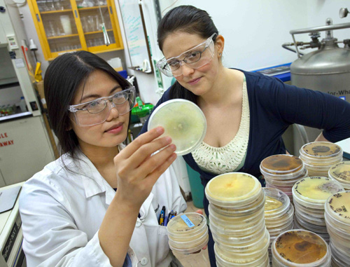 Mary Singer (right) mentoring a student in 2010. (Photos by Roy Kaltschmidt/Berkeley Lab)