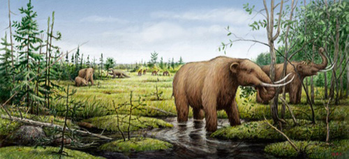 An artist’s rendition of mastodons, camels and a ground sloth before the environmental changes of the Younger Dryas led to their extinction. Illustration by Barry Roal Carlsen, University of Wisconsin