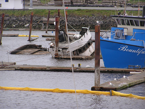 The March 11, 2011 Tohoku-oki tsunami caused significant damage to ships and docks within Crescent City Harbor in California. A number of ships were sunk within the harbor. Because of extensive sedimentation and potential contaminated debris within the harbor, recovery efforts took over a year. Photo Credit: Rick Wilson, California Geological Survey.
