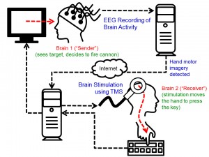 The cycle of the experiment. Brain signals from the “Sender” are recorded. When the computer detects imagined hand movements, a “fire” command is transmitted over the Internet to the TMS machine, which causes an upward movement of the right hand of the “Receiver.” This usually results in the “fire” key being hit. Image credit: University of Washington (Click image to enlarge)