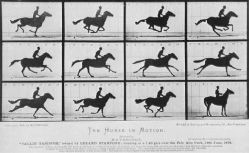 Eadweard Muybridge's famous "Horse in Motion" marked the beginning of high-speed photography. Ultra-fast laser light pulses like those used in this research essentially follow the same idea. Image credit: University of Arizona