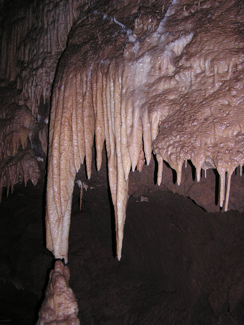 Kartchner Caverns contains a rich diversity of formations that are colonized by unique communities of microorganisms. (Photo by : Bob Casavant/Arizona State Park Service)