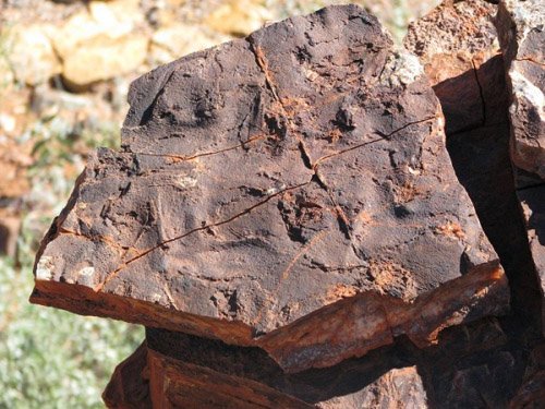 A rock surface displaying ‘polygonal oscillation cracks’ in the 3.48 billion years old Dresser Formation, Pilbara region, Western Australia. Such and similar sedimentary structures are of biological origin. They document ancient microorganisms that formed carpet-like microbial mats on the former sediment surface. The Dresser Formation records an ancient playa-like setting – similar environments are occurring on Mars as well. The MISS constitute a novel approach to detect and to understand Earth’s earliest life. Photo courtesy of Nora Noffke.