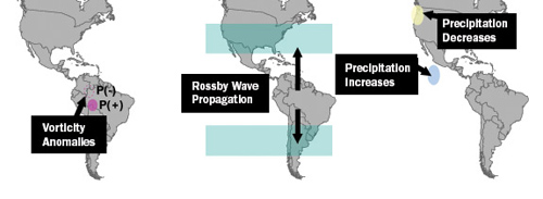 Research suggests that deforestation will likely produce a weather cycle over the Amazon consisting of abnormally dry air in the sun-scorched northern Amazon around the equator weighted by wetter air in the cooler south (left). The Princeton-led researchers found that the Amazon pattern would be subject to meandering high-altitude winds known as Rossby waves that move east or west across the planet (center). The Rossby waves would move the dry end of the Amazon pattern directly over the western United States from December to February, while the pattern's rainy portion would be over the Pacific Ocean south of Mexico (right). (Image by David Medvigy, Department of Geosciences)