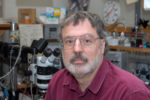 Andrew McClellan. McClellan discovered how the sea lamprey, an eel-like fish, regrows the neurons that comprise the long nerve “highways” that link the brain to the spinal cord. Image credit: University of Missouri