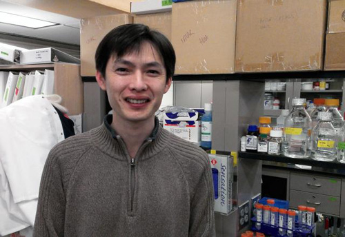 Lead author Hua Bai. “For now this research is in fruit flies, but we think it can be extended to human aging biology.” Image credit: David Orenstein/Brown University