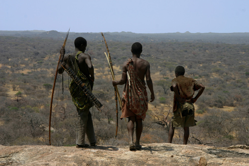 One of the last hunter-gatherer tribes on Earth, the Hadza people of Tanzania still hunt on foot with traditional foraging methods. “If you want to understand human hunter-gatherer movement, you have to work with a group like the Hadza,” said UA anthropologist David Raichlen, who led the study. (Photo by Brian Wood/Yale University)