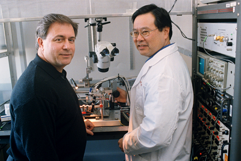 Donald Simone (l.) and colleague Darryl Hamamoto prepare an apparatus for a spinal cord electrophysiology experiment. Image credit: University of Minnesota