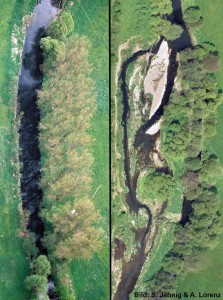 Vorher (links) und nachher (rechts) – ein renaturierter Flußabschnitt. Image credit: ©S. Jähnig/A. Lorenz (Click image to enlarge)