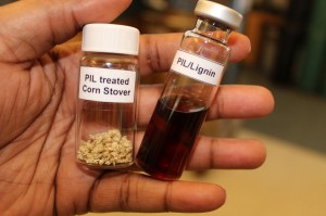 The new process dissolves lignin into the PIL, leaving cellulose behind as a solid. Photo credit: Ezinne Achinivu (Click image to enlarge)