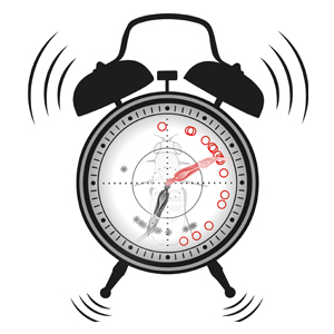 The image shows an alarm clock, symbolizing the circadian clock. The pointers of the clock are formed by scolopidia, i.e. those mechanosensory units that provide information to the fly’s circadian clock. The red pointer shows the mean circadian time after flies were vibrated. The other pointer is grey and depicts the circadian time without vibration. Image credit: Faxen/Albert, UCL