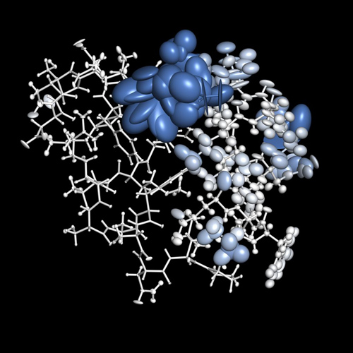Atommodell des Proteins Villin Kopfstück. Farbe und Größe der Ellipsoide stellen die lokale Dynamik der einzelnen Atome dar. (Image copyright: Bojan Zagrovic)