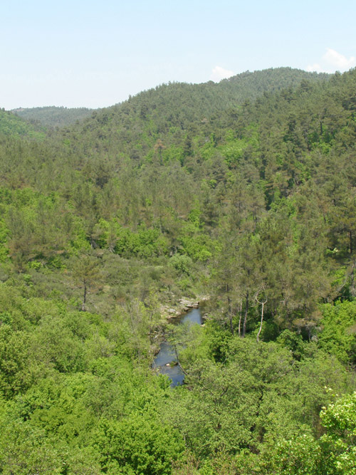 Landschaftsaufnahme Dadia National Park. Image copyright: Konstantina Zografou