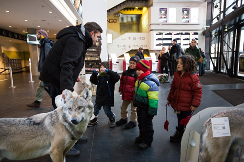 Der Wolf stand 2014 im Mittelpunkt des Festivals. Foto credit: C. Klant