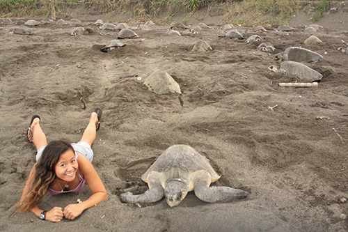 UD alumna Lauren Cruz is studying leatherback sea turtles in Costa Rica. Photos by Lauren Cruz