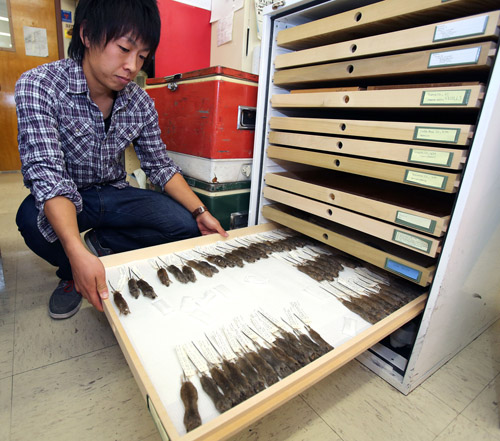 Taichi Suzuki in lab. Image courtesy of Arizona Daily Star