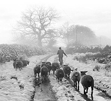 Front bookcover: ‘The Seasons: An Elegy for the Passing of the Year’. Image credit: University of Exeter