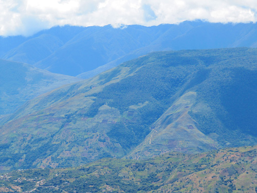 Viele Bergregenwälder in den Anden wurden durch den menschlichen Einfluss, v.a. Feuer, zerstört und auf kleine Restinseln in ansonsten degradierten Landschaften zurückgedrängt. Bild credit: S. Gallegos