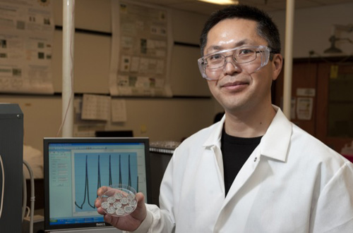 Bingqing Wei leads a research team that has discovered that fragmented carbon nanotube films can serve as adhesive conductors in lithium-ion batteries. Image credit: University of Delaware