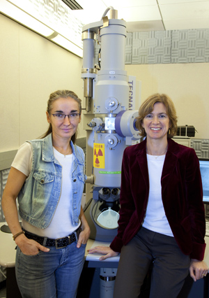 Eva Nogales (left) and Jennifer Doudna led a study that produced the first detailed look at the 3D structure of the Cas9 enzyme and how it partners with guide RNA. (Photo by Roy Kaltschmidt)