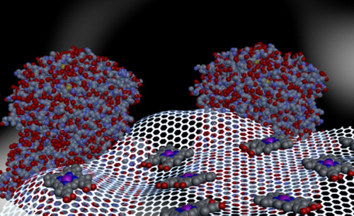 Haemin–graphene–glucose oxidase conjugates. A molecular view of an integrated haemin–graphene–glucose oxidase catalyst material. Image credit: University of California