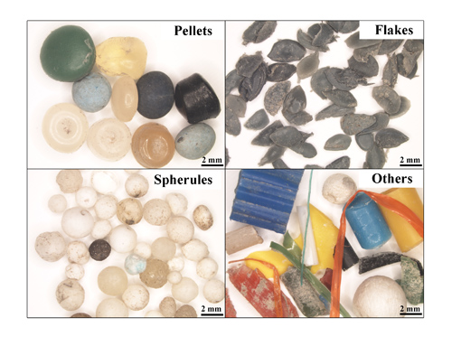 Unterschiedliche Kategorien von Plastik, die in der Studie in der Donau festgestellt und quantifiziert wurden: Pellets (ca. 4 mm Durchmesser), Flocken (ca. 2,8 mm Länge), Kugeln (ca. 2,9 mm), anderes Material (ca. 15,0 mm). Image copyright: A. Lechner.