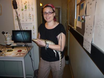 University of Maryland biology lecturer Hilary Bierman holds an alligator that she is prepping for vibrometry measurements in a laboratory at the University of Southern Denmark. Image credit: Jakob Christensen-Dalsgaard
