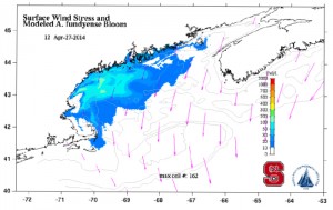 Example snapshot from the 2014 weekly forecast. Image credit: Dennis McGillicuddy, Woods Hole Oceanographic Institution and Ruoying He, North Carolina State University (Click image to enlarge)