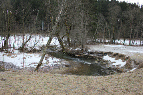 Uferböschung entlang des Lassingbaches (Niederösterreich) 2013. In der rechten Bildhälfte ist die durch das Fehlen von stabilisierender Gehölzvegetation bedingte starke Ufererosion zu erkennen. (Image copyright: D. Frankl)