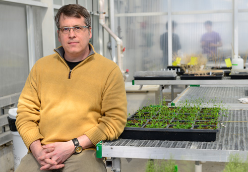 Scott Peck. “Peck identified and replicated the process that allows the bacteria—known mostly for attacking tomatoes—to attack its host. This discovery could lead to natural anti-infective treatments that work with food-producing plants to enhance resistance to harmful bacteria in the field.” Image credit: University of Missouri